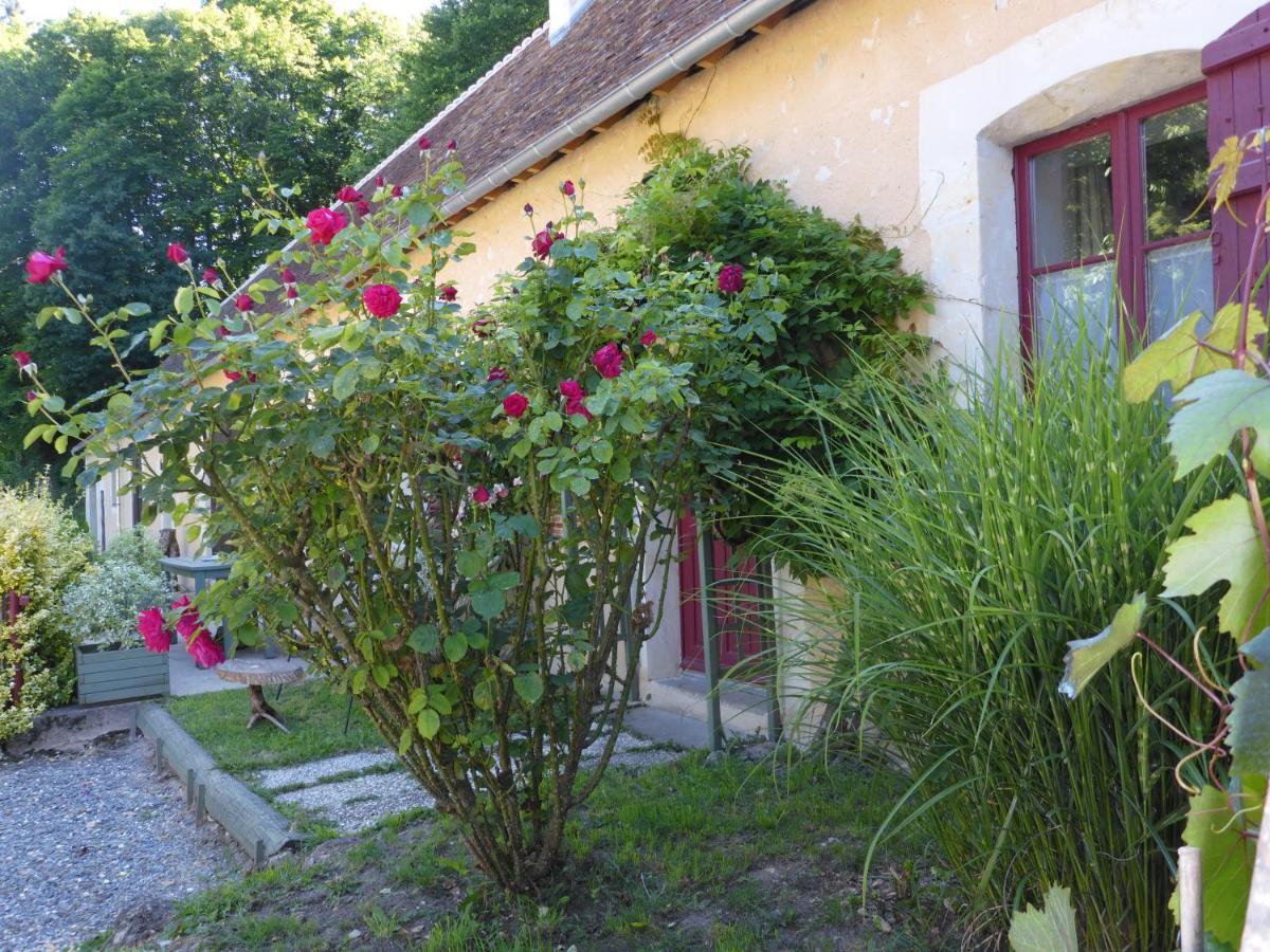 Villa La Petite Bardouillere Courdemanche  Exterior foto